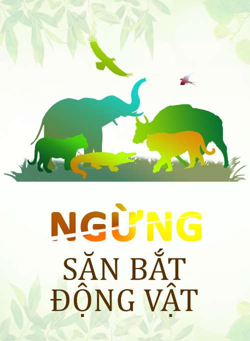 Ngừng săn bắt động vật