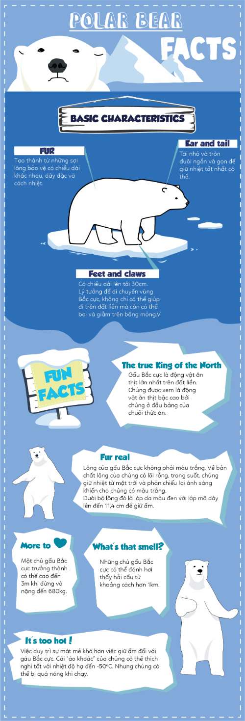 Infographic