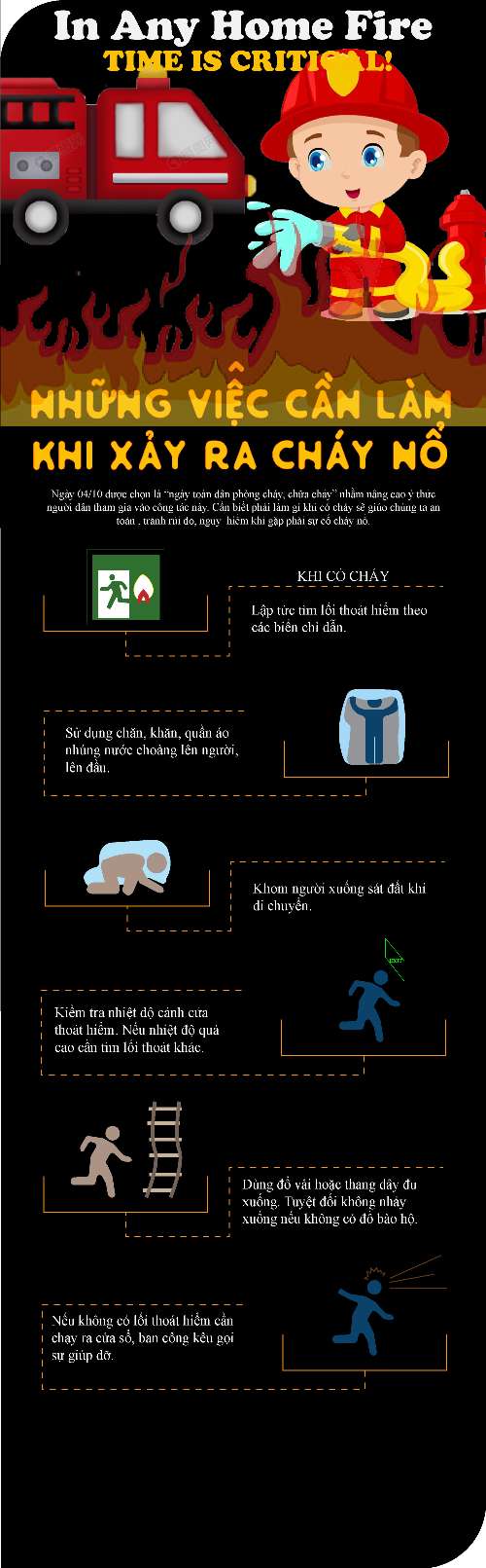 Thiết kế Infographic cơ bản
