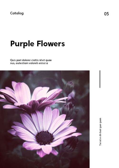 Purple Flowers