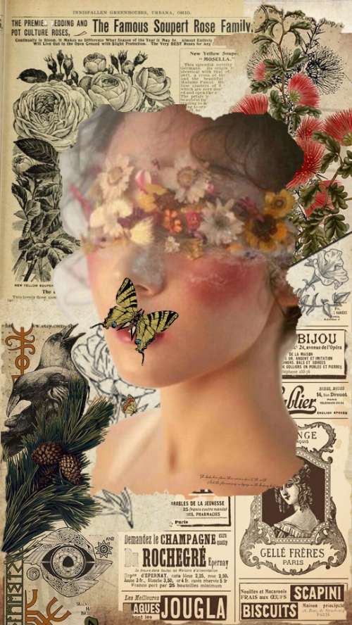 Cắt ghép ảnh - Collage Art