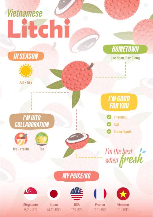 infographic