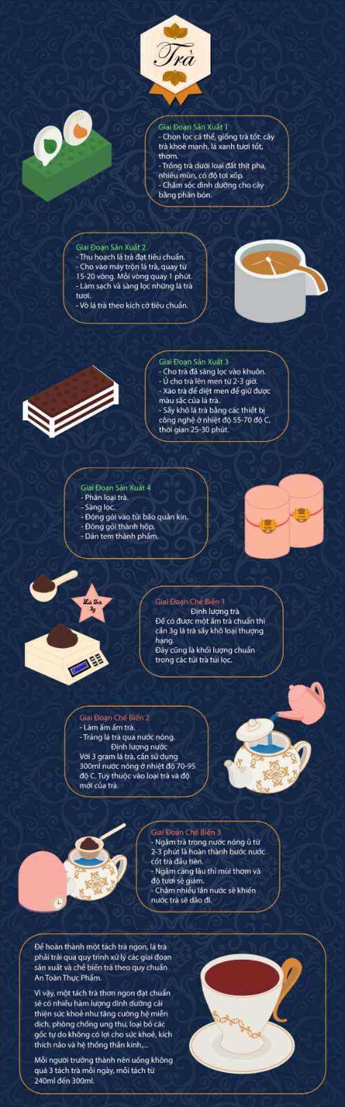 Bài Thi Cuối Kì - Inforgraphic