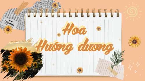 BTTN - Nguyễn Thị Thuý Hường