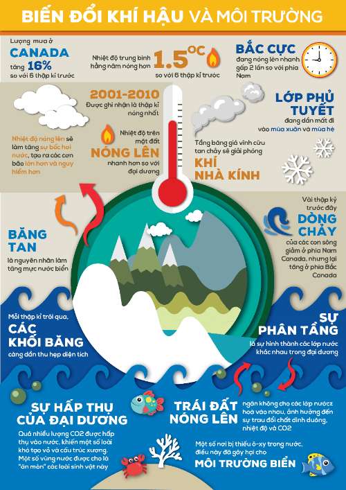 BÀI CUỐI KỲ (THIÊN ÂN)