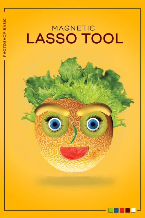 lasso tool