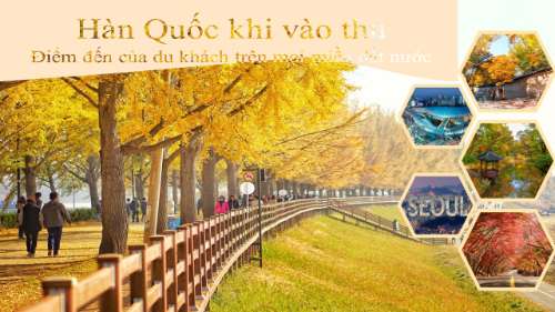 HM - Nộp bài buổi 1