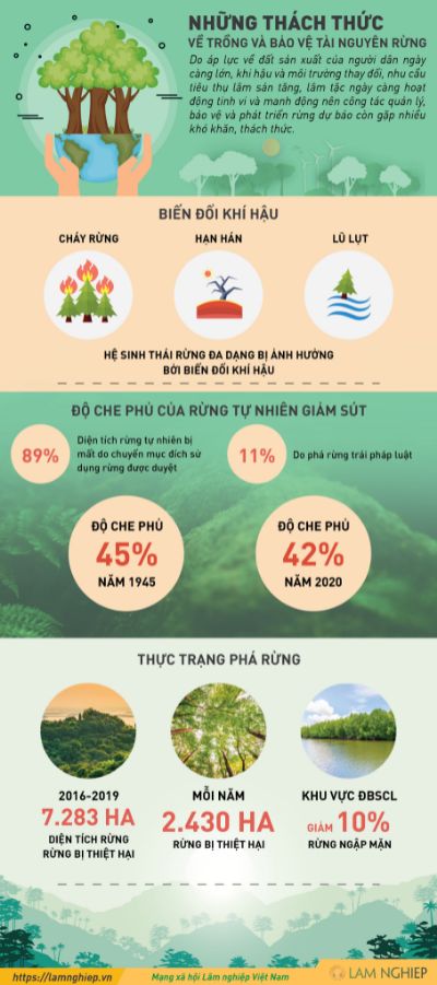 BT cuối khóa