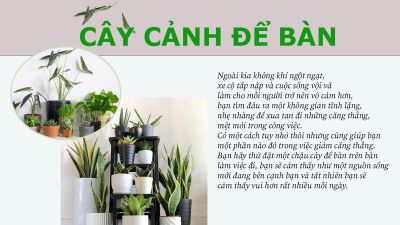 Bài tập buổi 2