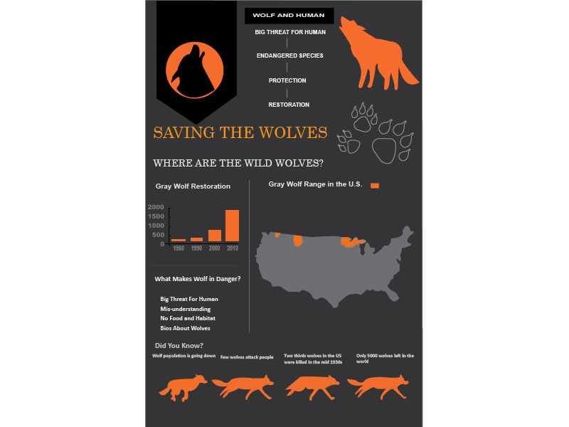 Infographic