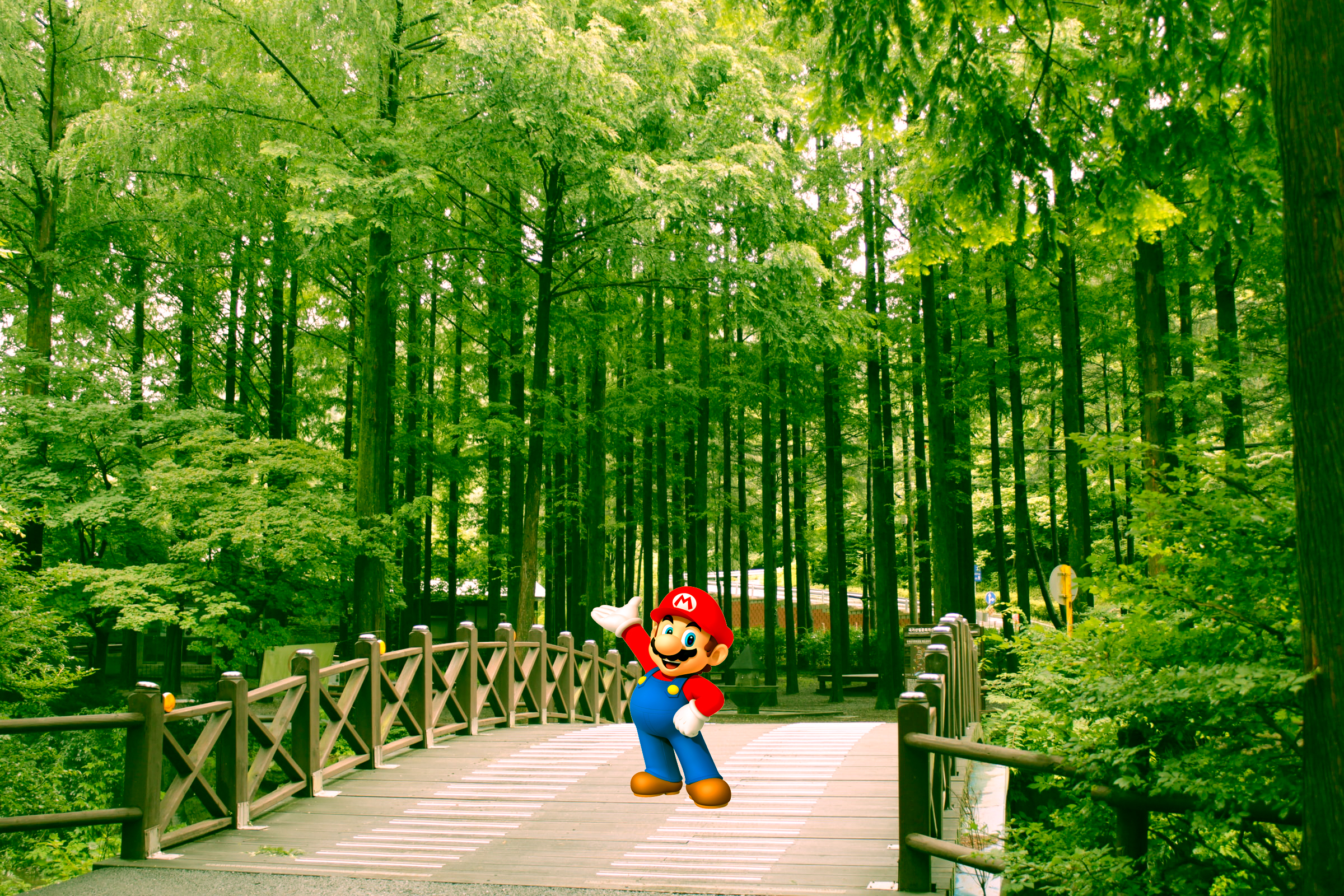Mario