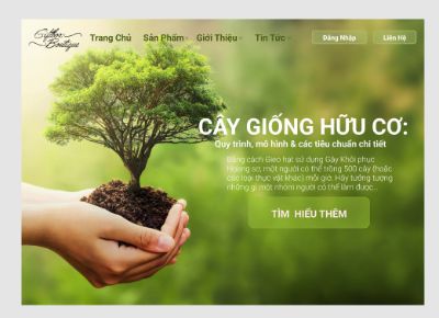 HOÀNG THU NGA