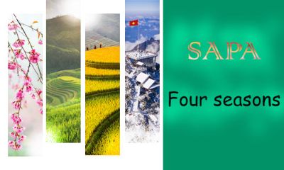Vietnam Travel