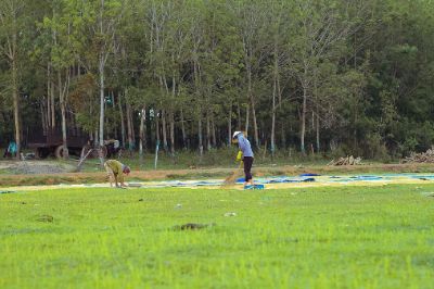 chỉnh ảnh