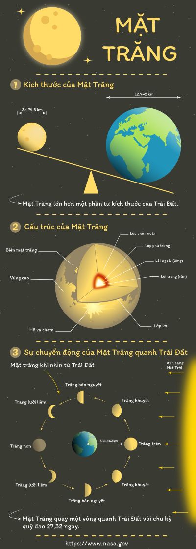 Infographic