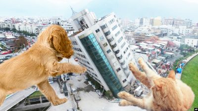 BTVN Buổi 1: "Thống Trị Thế Giới"