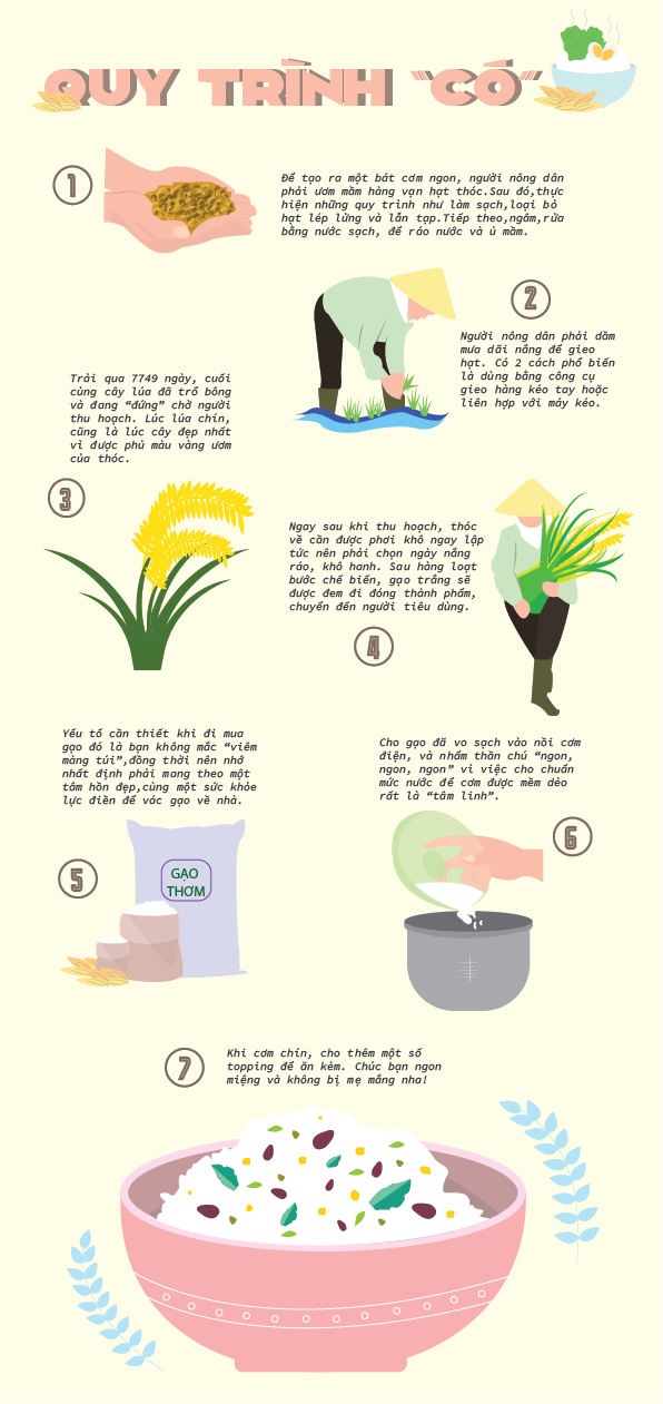 Inforgraphic - QUY TRÌNH "CÓ" CƠM