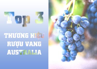 [Làm Lại Layout Design] Top 3 Thương Hiệu Rượu Vang Australia