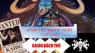 BTVN