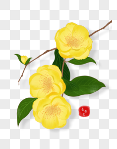 BÀI CUỐI KÌ