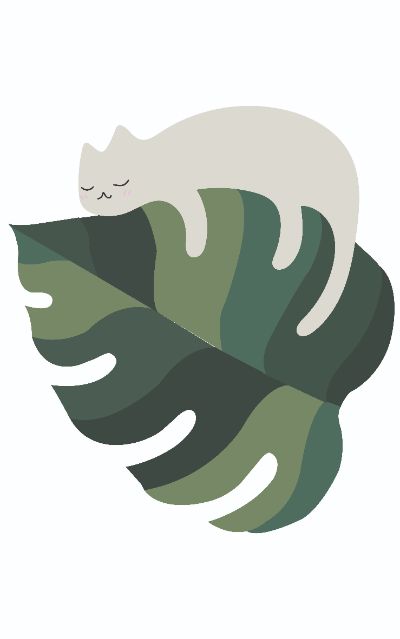 MÈO MÉO MEOO