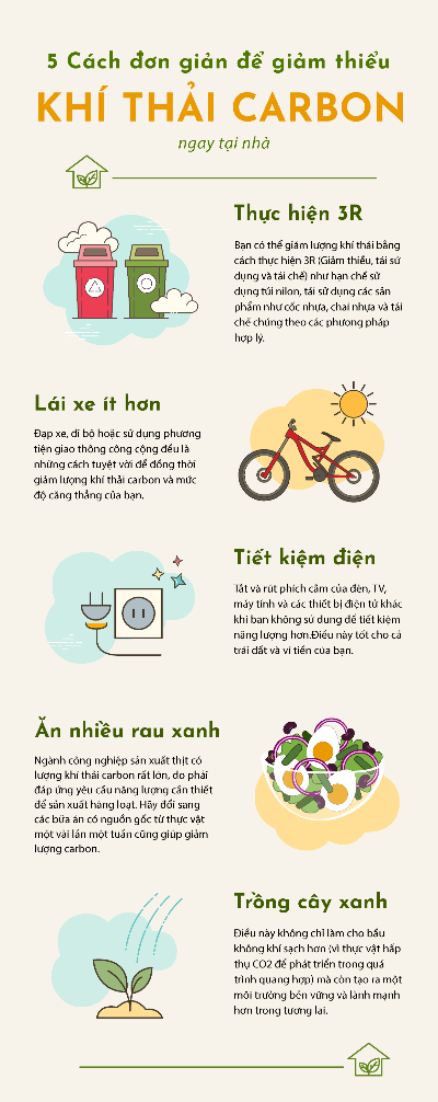 Bài tập cuối kỳ