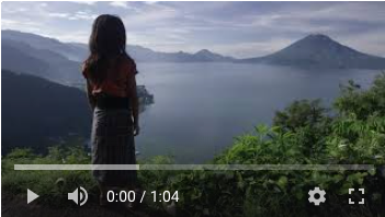 BTVN buổi 1 - Vũ Kim Thy