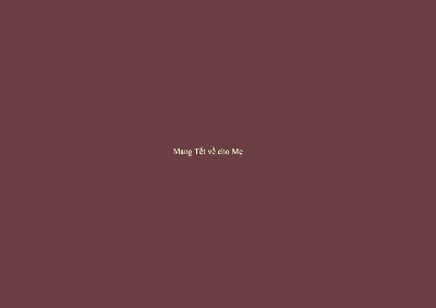 Mang Tết về cho Mẹ