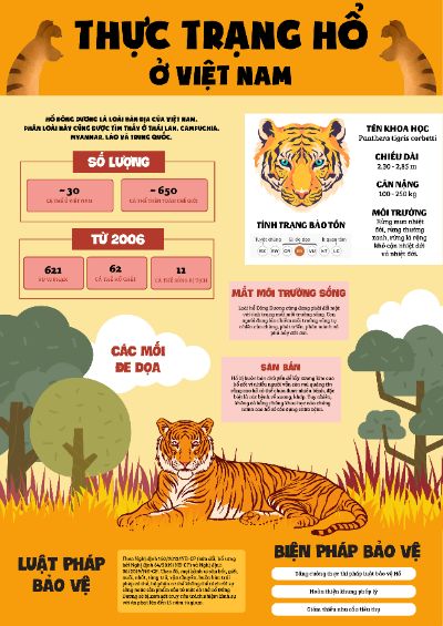 BTVN Inforgraphic