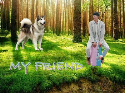 Lost in the forest