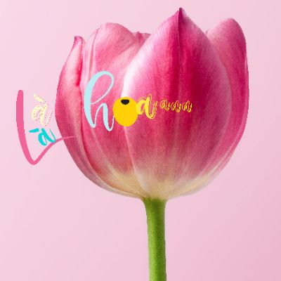 BÀI TẬP 3 - TYPOGRAPHY "Là Hoa"