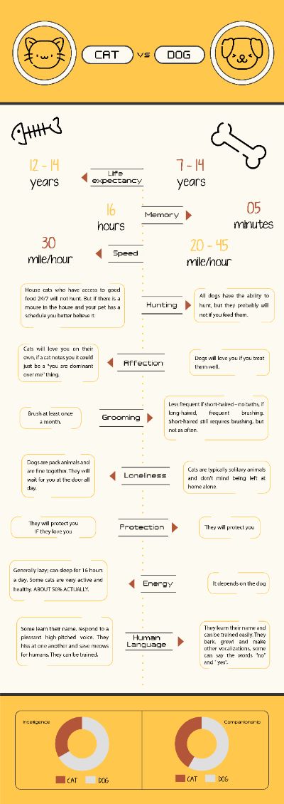 Bản demo bài tập infographic