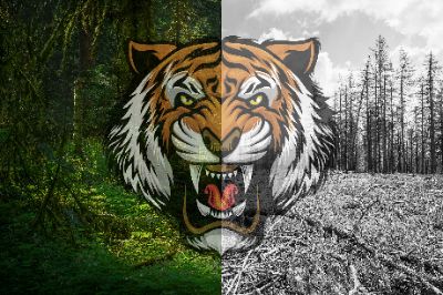 BTVN. Photoshop buổi 1