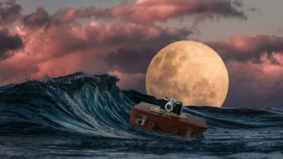 The Sea
