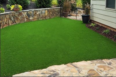 ảnh bãi cỏ sau khi xóa cún
