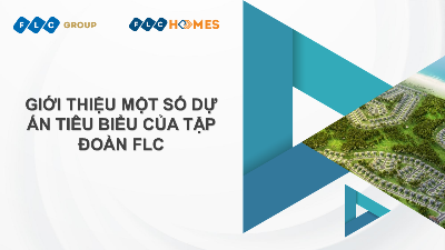Bài tập tuần 2