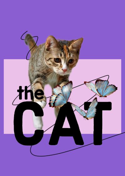 catpop