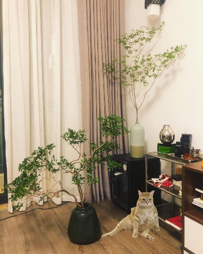 BTVN buổi 1