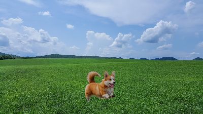 BTVN buổi 1