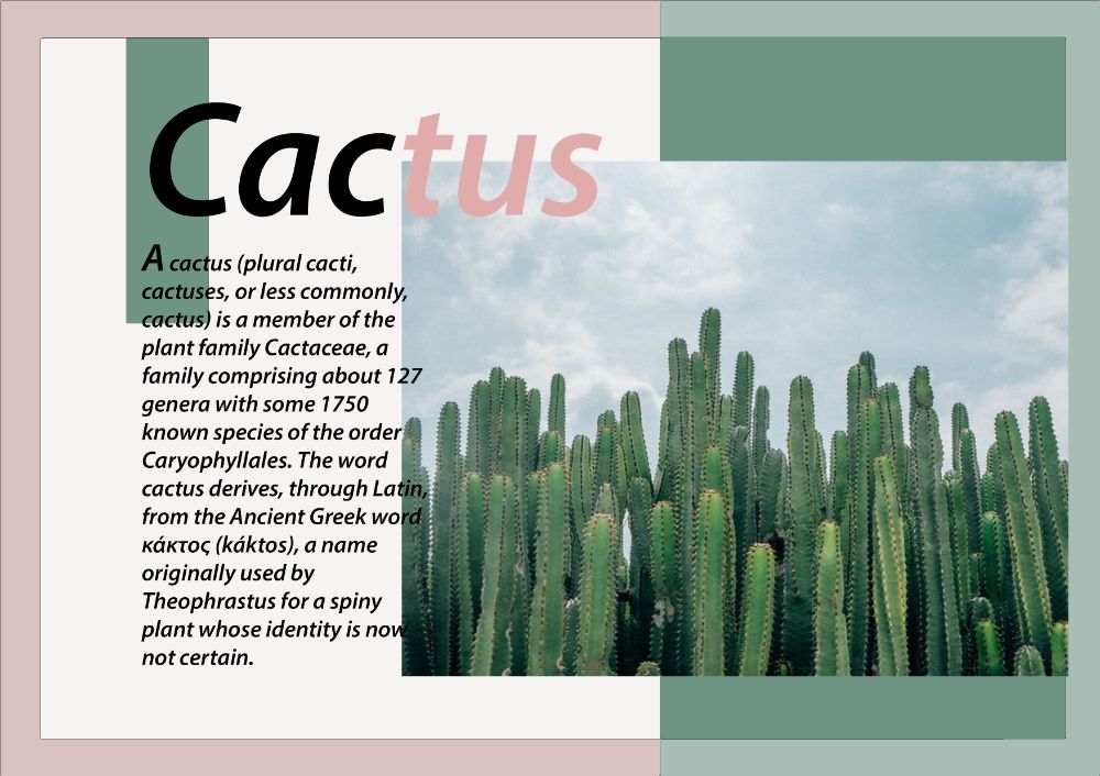 Cactus