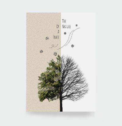Typography