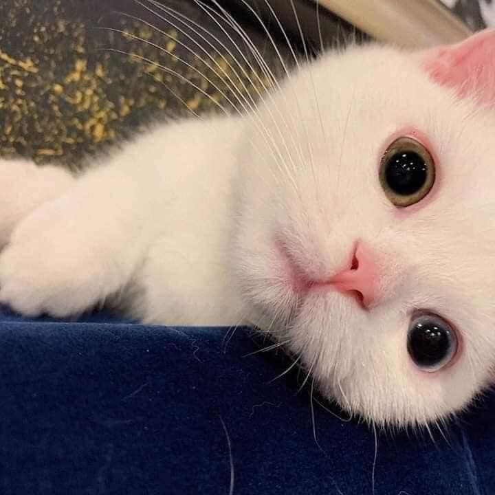 BTVN buổi 1