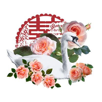 THỰC HÀNH BUỔI 11