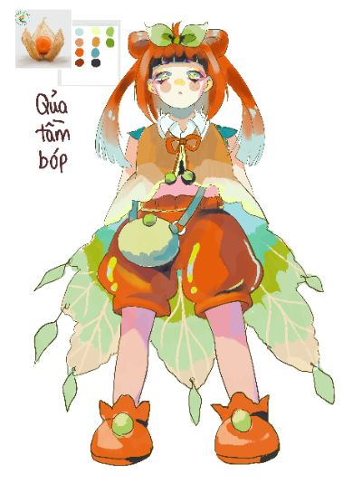 Qủa đèn lồng (tầm bóp)