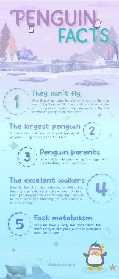 penguin facts