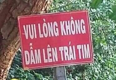 Bài giữa kỳ