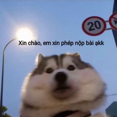 BTBuoi1
