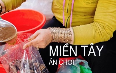 Bài tập 1