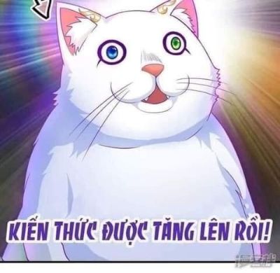 Bài tập 1