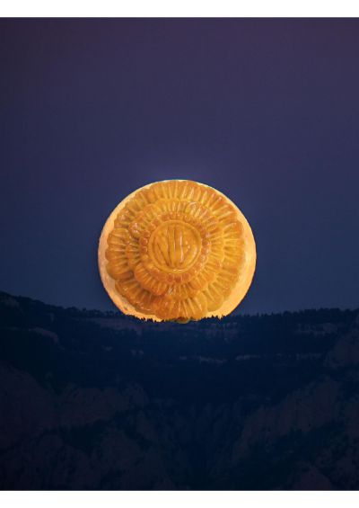 "moon" cake